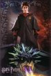 Harry Potter Poster - Dragon
